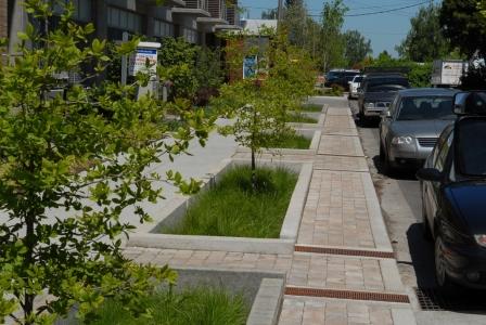 Green Infrastructure Streetscape